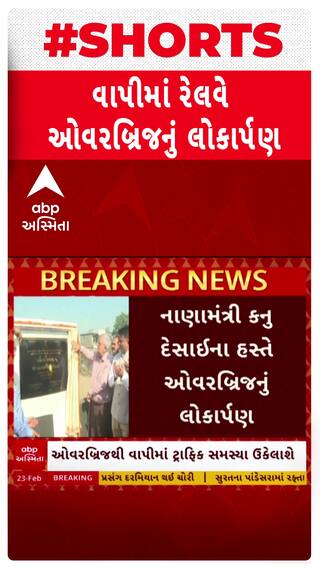 Vapi News: વાપીના બલીઠા રેલવે ઓવરબ્રિજનું નાણામંત્રી કનુ દેસાઈના હસ્તે લોકાર્પણ