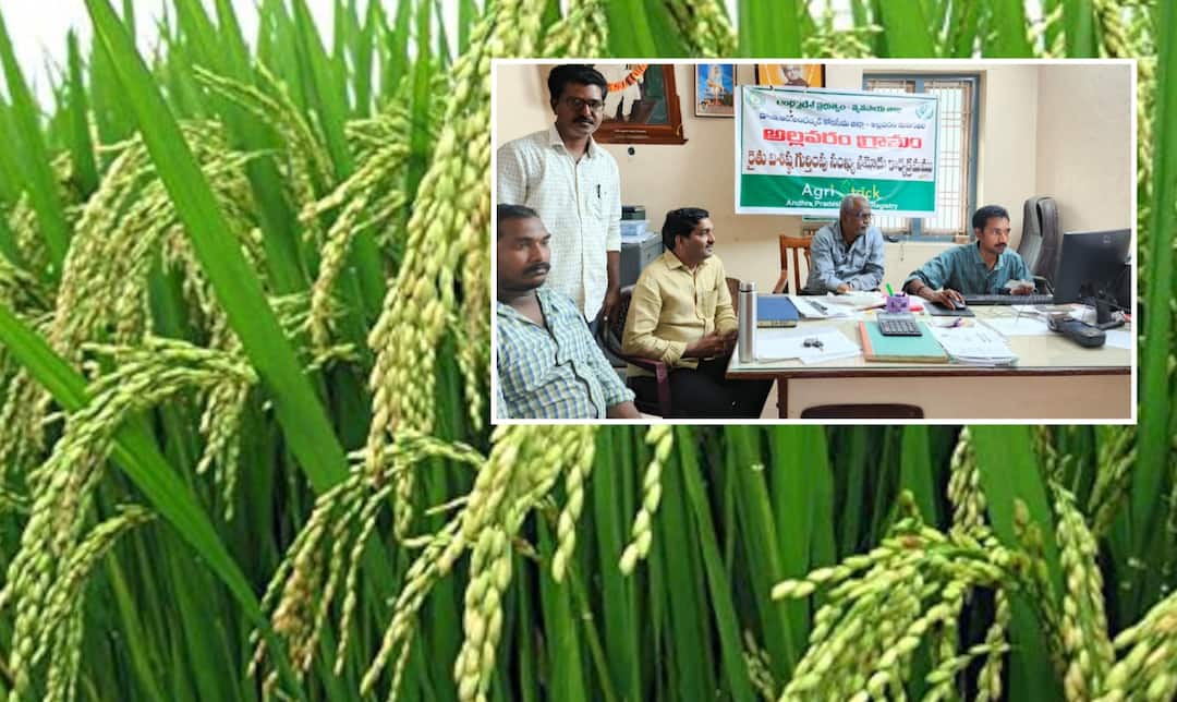 Farmer Registration mandatory for unique ID to Former Farmer unique ID: రైతులకు యూనిక్‌ ఐడీ.. రిజిస్టర్‌ కాకుంటే ప్రభుత్వ పథకాలు బంద్‌..