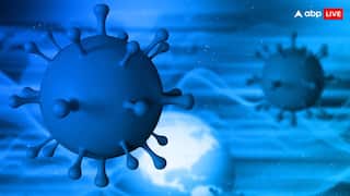 क्या भारत भी पहुंच सकता है चीन में मिला नया वायरस? शरीर के इन अंगों पर सबसे पहले करता है अटैक, जान लें लक्षण