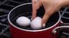 Boiling Eggs Perfectly: কাজের কাজ হচ্ছে না, গায়ে লাগছেই না কিছু, ডিম সেদ্ধ করার সঠিক পদ্ধতি জানালেন বিজ্ঞানীরা