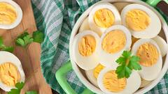 Boiling Eggs Perfectly: কাজের কাজ হচ্ছে না, গায়ে লাগছেই না কিছু, ডিম সেদ্ধ করার সঠিক পদ্ধতি জানালেন বিজ্ঞানীরা