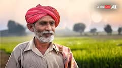 PM Kisan : 9.7 कोटी शेतकऱ्यांच्या खात्यात 2000 येणार, नरेंद्र मोदी पीएम किसानचा 19 वा हप्ता जारी करणार, 21000 कोटी पाठवणार