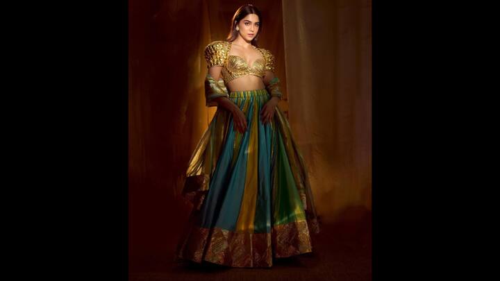 2. Sharvari: Sharvari's brocade blouse added a modern twist to the traditional attire. The blouse featured a deep neck design. The actress paired her structed blouse along with a multi panelled silk ghargra that created an elegant look. (Image Source: Instagram/@sharvari)