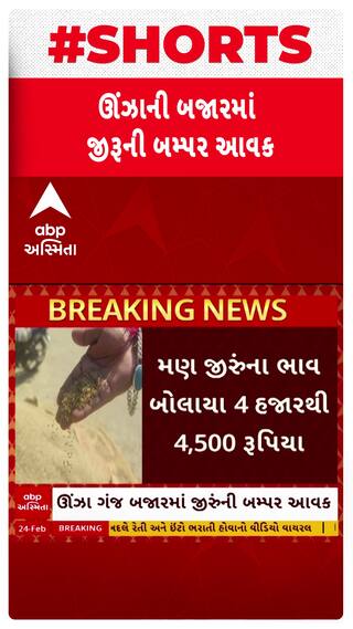 Unjha Jeera Market : ઊંઝામાં જીરાની બમ્પર આવક, મણે કેટલા બોલાયા ભાવ?
