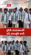 వైసీపీ కండువాలతో ఏపీ అసెంబ్లీకి వైఎస్ జగన్