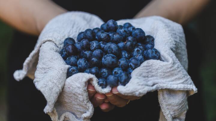 2. Blueberries: Blueberries are packed with vitamins and antioxidants. This fruit improves blood flow to the brain that enhances learning ability and boosts concentration. It serves as a refreshing snack during exam preparations. (Image Source: Canva)