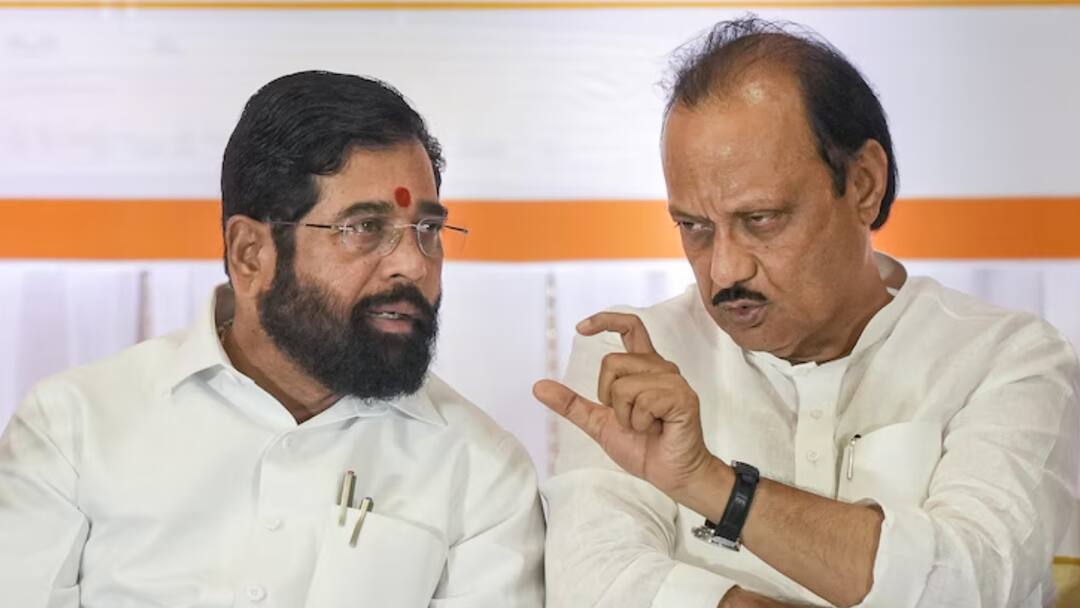 Ajit Pawar Still Unclear on Shiv Sena Eknath Shinde Halke Me Mat Lena Statement एकनाथ शिंदे के 'हल्के में मत लो' वाले बयान पर कंफ्यूज दिखे अजित पवार, बोले- 'समझ नहीं आ रहा कि...'