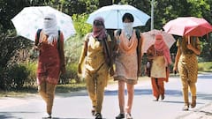 उन्हाळा सुरू... 2 दिवसांत 4 जिल्ह्यात वाढणार तापमान; हवामान प्रादेशिक विभागाकडून खबरदारीची सूचना