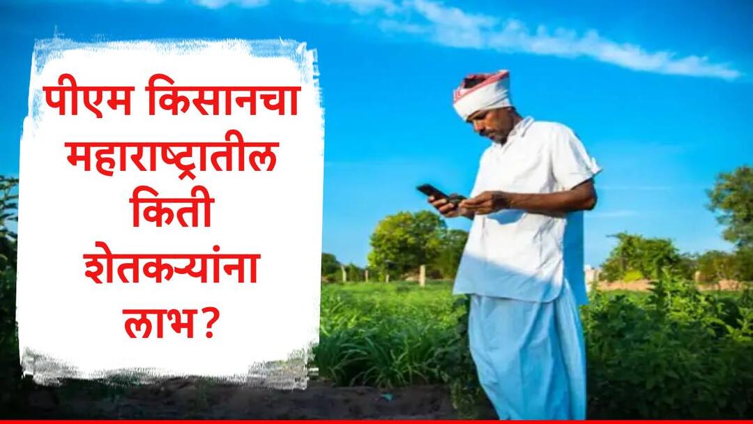 PM Kisan Samman Nidhi Yojana Maharashtra Farmers get more than 34000 crore in last six years check details in Marathi PM Kisan : पीएम किसानच्या 19 व्या हप्त्याचे 2000 रुपये वर्ग, महाराष्ट्रातील शेतकऱ्यांना किती पैसे मिळाले? अपडेट समोर