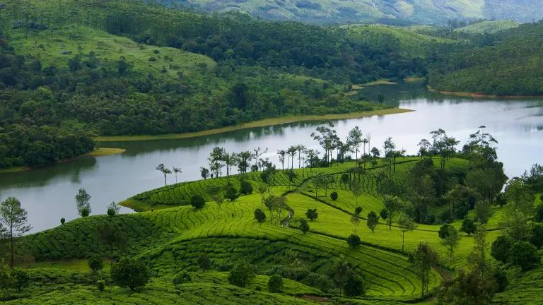 லோ பட்ஜெட் மூணார் ட்ரிப் ப்ளான் பண்றீங்களா? ரூ.620 ரூபாய் போதும்.. சென்னை To மூணார் ..!