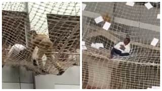 Mumbai Man Jumps Off 7th Floor Of Mantralaya State Secretariat Lands On Safety Net இன்குலாப் ஜிந்தாபாத் 7ஆவது மாடியில் இருந்து குதித்த நபர்.. தலைமை செயலகத்தில் பரபரப்பு!