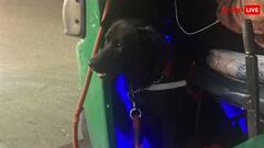 ऑटो ड्राइवर के साथ हमेशा रहता है ये पालतू कुत्ता, वीडियो ने जीता लोगों का दिल