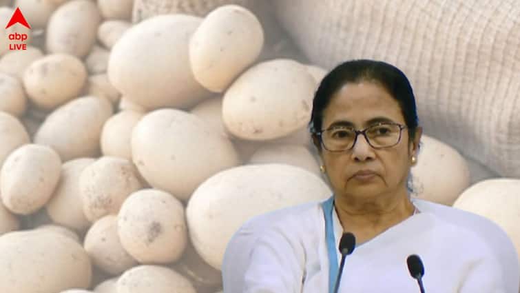Mamata Banerjee announces new minimum support prices for potatoes Know in details what will happen with farmers of affected potato crop in the fields Mamata Banerjee : সরকারকে আলু বিক্রি করলে এখন কত পাবেন চাষি ? জমা জলে আলুর ক্ষতি কভার করবে রাজ্য
