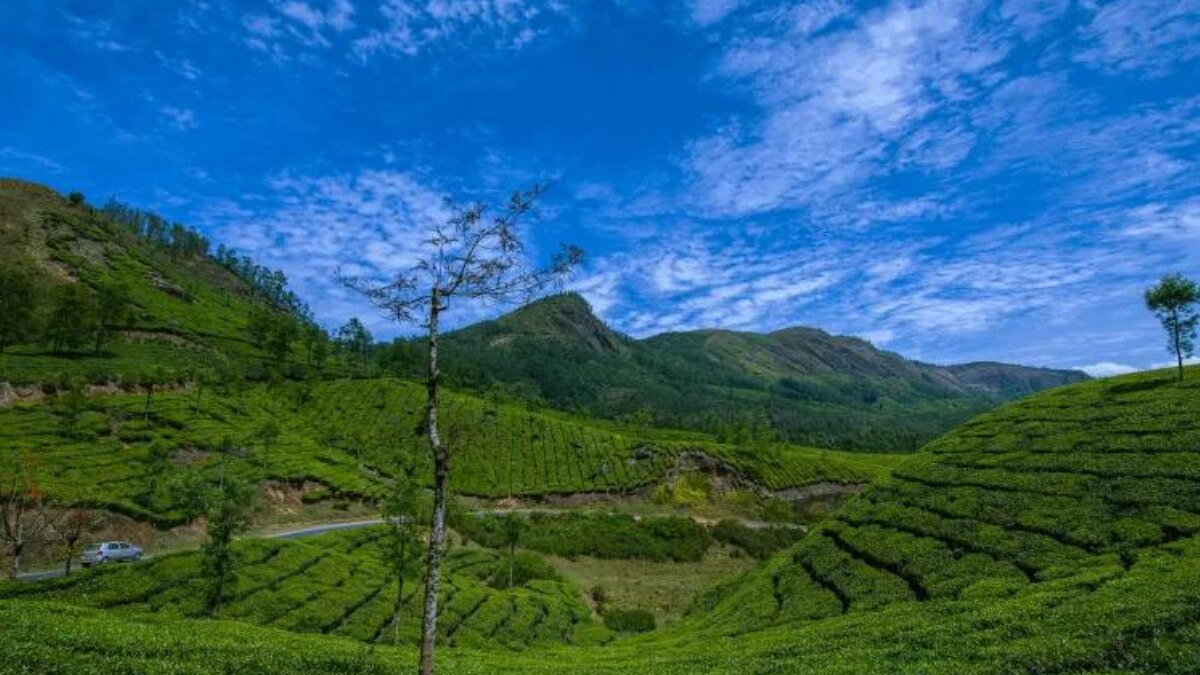 லோ பட்ஜெட் மூணார் ட்ரிப் ப்ளான் பண்றீங்களா? ரூ.620 ரூபாய் போதும்.. சென்னை To மூணார் ..!
