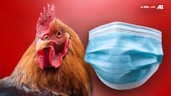 इंसानों के लिए कितना ज्यादा घातक है बर्ड फ्लू? सबसे पहले दिखते हैं ये लक्षण