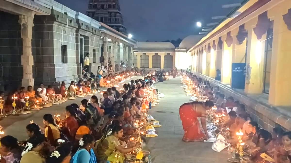 2026 -ல் ஆட்சியைப் பிடிக்கனும்... விளக்கு பூஜை செய்து வேண்டுதல் வைத்த அதிமுகவினர்...!