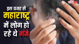 महाराष्ट्र में गेहूं की वजह से अचानक गंजे हो रहे थे लोग? रिपोर्ट में किया जा रहा बड़ा दावा
