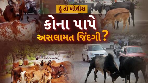 Hun To Bolish: હું તો બોલીશ : કોના પાપે અસલામત જિંદગી?