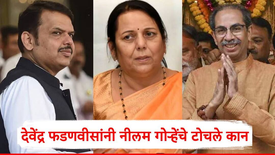 Devendra Fadnavis On Neelam Gorhe: देवेंद्र फडणवीसांनी नीलम गोऱ्हेंचे टोचले कान; म्हणाले, साहित्य संमेलनात बोलताना काही... Devendra Fadnavis Reaction On Neelam Gorhe Statement Uddhav Thackeray Shivsena Eknath Shinde Maharashtra Politics Devendra Fadnavis On Neelam Gorhe: देवेंद्र फडणवीसांनी नीलम गोऱ्हेंचे टोचले कान; म्हणाले, साहित्य संमेलनात बोलताना काही...