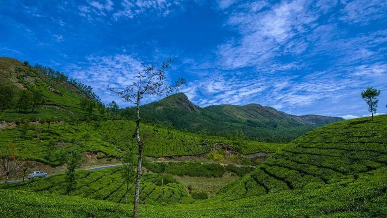 லோ பட்ஜெட் மூணார் ட்ரிப் ப்ளான் பண்றீங்களா? ரூ.620 ரூபாய் போதும்.. சென்னை To மூணார் ..!