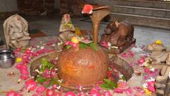 Shrawan 2025 :  શ્રાવણ માસમાં મહાદેવને અર્પિત કરો આ પદાર્થ, આર્થિક લાભ માટે સિદ્ધિ પ્રયોગ