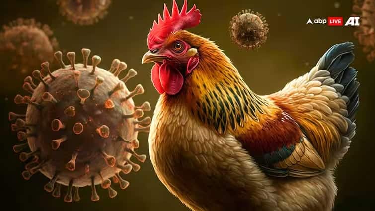 bird flu keep these things in mind while buying chicken Bird Flu : চিন্তা বাড়াচ্ছে বার্ড ফ্লু ?  মুরগি কেনার সময় মাথায় রাখুন এই বিষয়গুলি