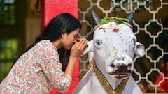 Mahashivratri 2025 : রাত পোহালেই শিবরাত্রি, যে ভুলগুলি করলে মাটি হতে পারে সব পূজার্চনা