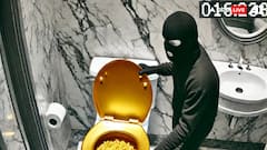 महल में लगी थी सोने की टॉयलेट सीट, चोरों ने महज पांच मिनट में उड़ा दिया 42 करोड़ का माल