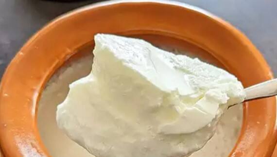 આપણા સ્વાસ્થ્ય માટે દહીંનું સેવન ખૂબ જ ફાયદાકારક માનવામાં આવે છે. દરરોજ દહીંનું સેવન કરવું જોઈએ. પરંતુ ઘણા એવા ફૂડ્સ છે જેની સાથે ક્યારેય દહીંનું સેવન ન કરો. કારણે આ વસ્તુઓ દહીંની સાથે ખાવાથી મુશ્કેલી થઈ શકે છે.