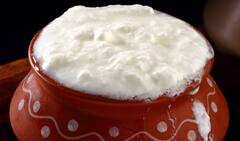 આ વસ્તુઓનું સેવન દહીં સાથે ક્યારેય ન કરો, સ્વાસ્થ્યને થઈ શકે છે નુકસાન