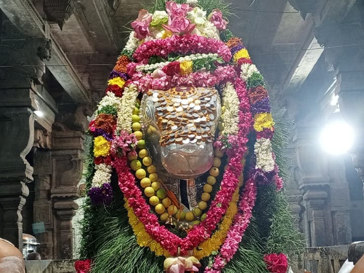 கரூர் கல்யாண பசுபதீஸ்வரர் ஆலயத்தில் மாசி மாத பிரதோஷம் - பக்தர்கள் வழிபாடு