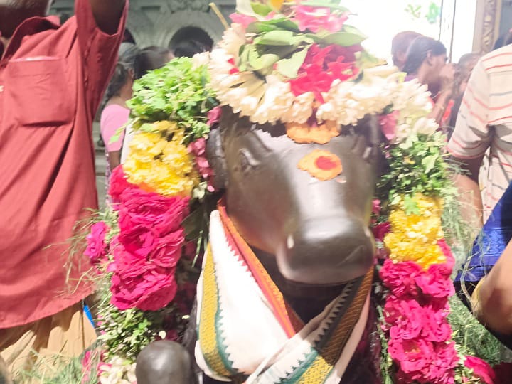 கரூர் கல்யாண பசுபதீஸ்வரர் ஆலயத்தில் மாசி மாத பிரதோஷம் - பக்தர்கள் வழிபாடு