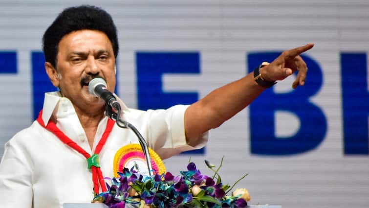 CM Stalin on hindi imposition and slams bjp govt for working with separatist motive CM Stalin: இந்தியில் திட்டினால் தமிழில் திட்ட முடியாதா? இன எதிரிகளே - பொங்கி எழுந்த முதலமைச்சர் ஸ்டாலின்