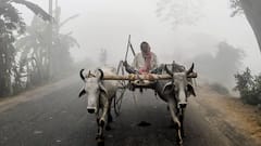 Weather Update: সপ্তাহান্তে ২৫ ডিগ্রি ছুঁয়ে ফেলবে এই জেলার তাপমাত্রা, তীব্র গরমের আশঙ্কা?