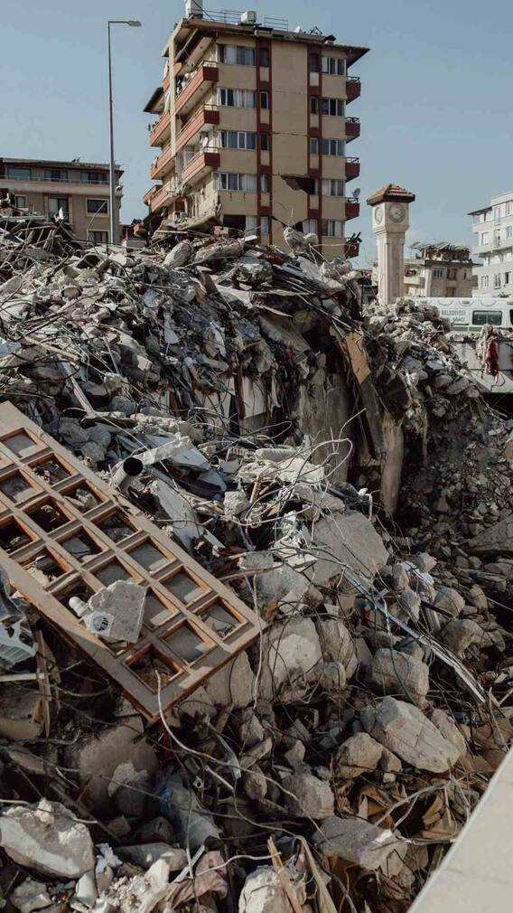 ये जानवर कर सकते हैं भूकंप की भविष्यवाणी