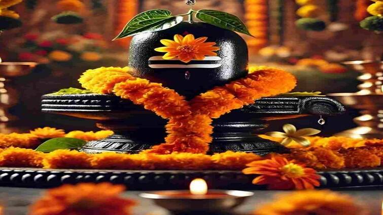 Mahashivratri 2025 when is falgun month mahashivratri know pujan vidhi Mahashivratri 2025: મહાશિવરાત્રીની રાત્રે કેમ જાગવું જોઇએ? જાણો તેનું ધાર્મિક અને વૈજ્ઞાનિક મહત્વ