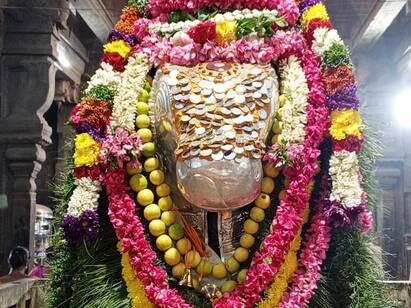 karur Kalyana Pasupadeeswarar Pradosham festival tnn கரூர் கல்யாண பசுபதீஸ்வரர் ஆலயத்தில் மாசி மாத பிரதோஷம் - பக்தர்கள் வழிபாடு