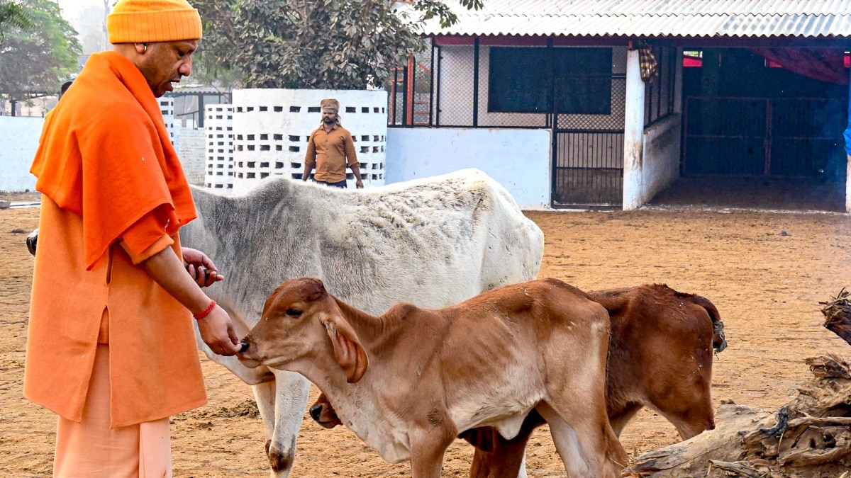 यूपी में पशुपालकों को बढ़ावा देने की तैयारी, किसानों को मिलेगी मदद, 10 लाख का मिलेगा ऋण