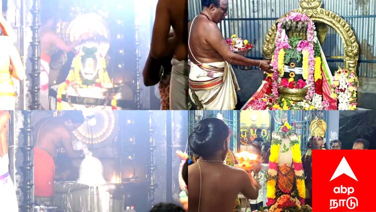 Shivaratri festival 2025 held in the famous sivan temples of Mayiladuthurai tnn Shivaratri 2025: மயிலாடுதுறையில் பனிக்கட்டி சிவலிங்கம், பழமை வாய்ந்த கோயில்களில் விடிய விடிய மகாசிவராத்திரி விழா..!