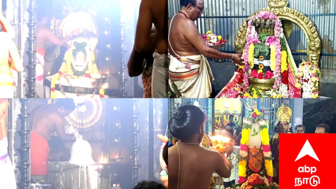 Shivaratri 2025: மயிலாடுதுறையில் பனிக்கட்டி சிவலிங்கம், பழமை வாய்ந்த கோயில்களில் விடிய விடிய மகாசிவராத்திரி விழா..!