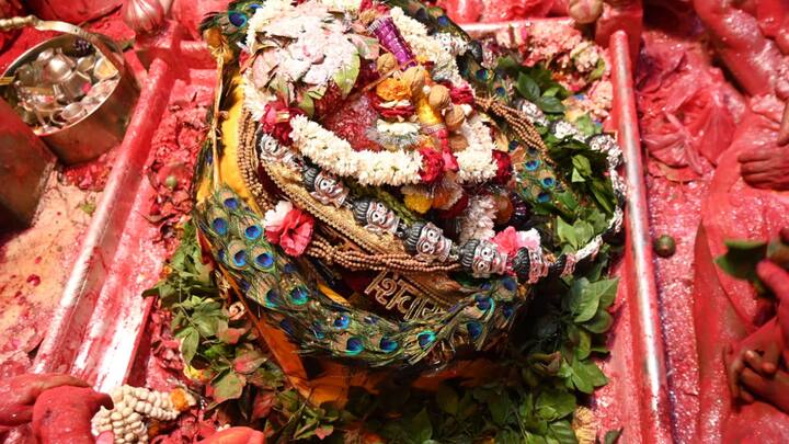 महाशिवरात्रि के पर्व पर देर रात तक बाबा के दर्शन करने के लिए श्रद्धालुओं की लंबी कतार लगी रही.