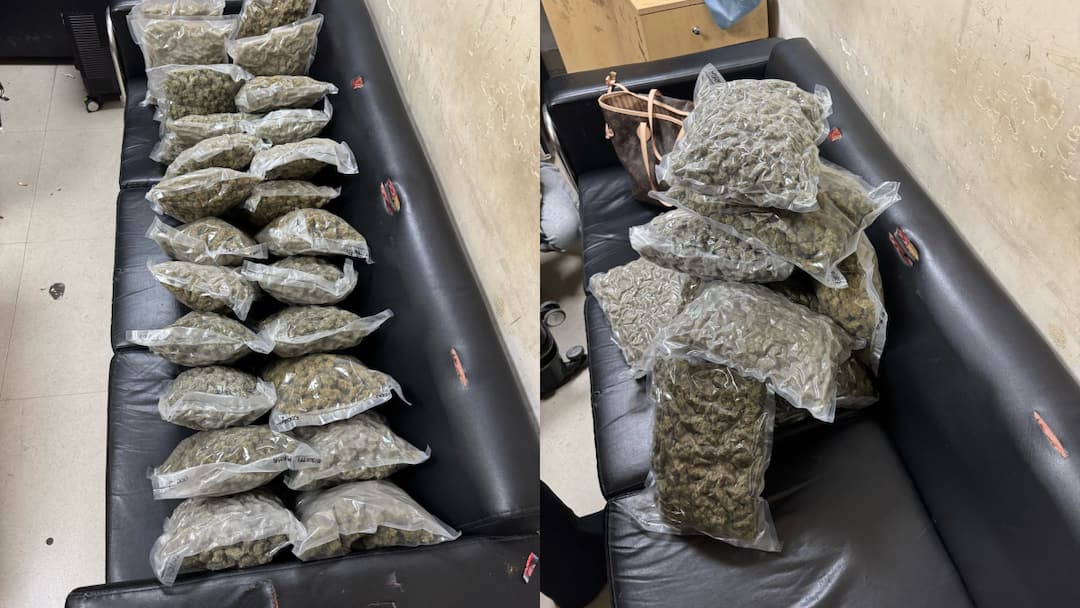 Weed Cannabis Marijuana Smuggling Busted at IGI international airport two Thai women arrested ann इंदिरा गांधी इंटरनेशनल एयरपोर्ट पर गांजा तस्करी का पर्दाफाश, दो विदेशी महिलाएं गिरफ्तार
