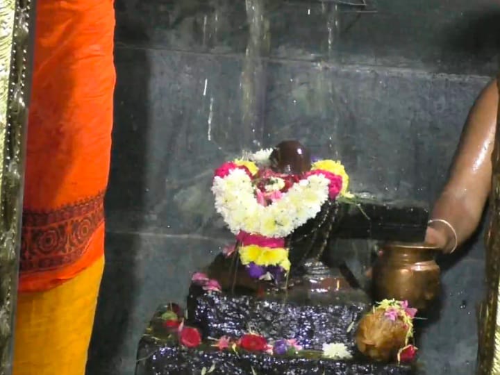 ஸ்ரீ காசி விசாலாட்சி உடனுறை காசி விஸ்வநாதர் ஆலயத்தில் மகா சிவராத்திரி