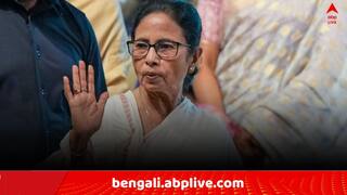Mamata On IPACK: 'পিকের আইপ্য়াক এটা নয়, নতুন একটা টিম, সহযোগিতা করতে হবে..', সুর বদল মমতার !
