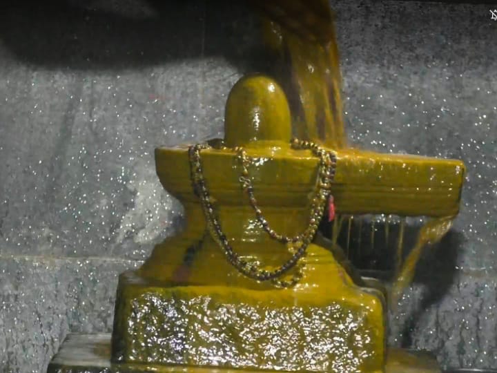 ஸ்ரீ காசி விசாலாட்சி உடனுறை காசி விஸ்வநாதர் ஆலயத்தில் மகா சிவராத்திரி