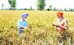 Kisan Karj Mafi: ਸਰਕਾਰ 4 ਕਰੋੜ ਕਿਸਾਨਾਂ ਦੇ ਕਰਜ਼ੇ ਕਰੇਗੀ ਮੁਆਫ਼ ? ਜਾਣੋ ਵਾਈਰਲ ਹੋ ਰਹੇ ਦਾਅਵੇ ਦੀ ਸੱਚਾਈ...