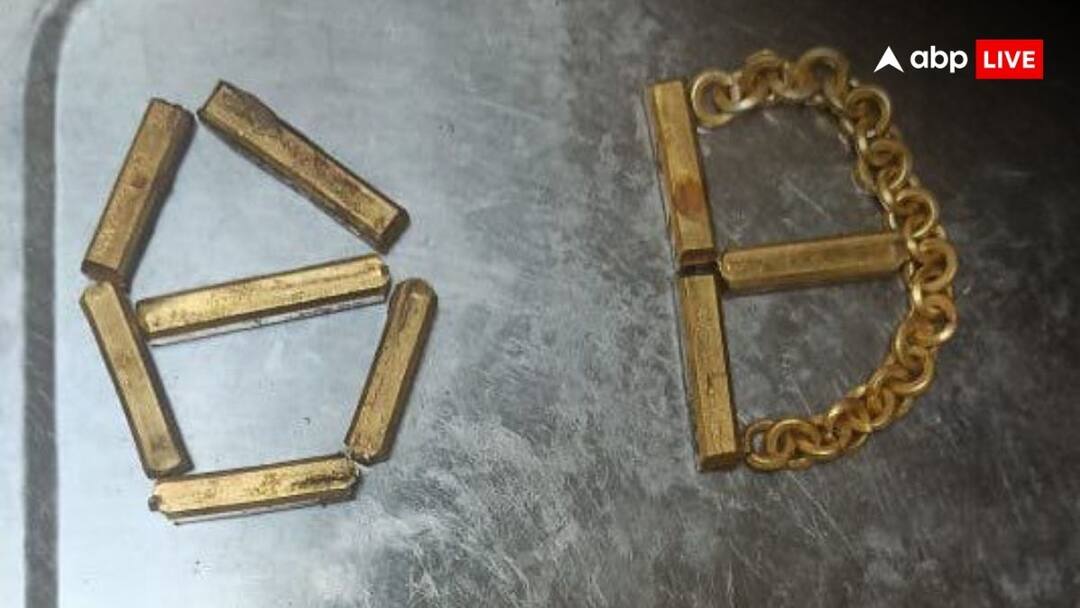 खजूर में छिपाकर लाया था 13 लाख का सोना, दिल्ली एयरपोर्ट पर ऐसे पकड़ा गया Man Smuggle Gold from jeddah to India Hide in dates Customs Department Officer at Delhi Airport Arrested ANN खजूर में छिपाकर लाया था 13 लाख का सोना, दिल्ली एयरपोर्ट पर ऐसे पकड़ा गया