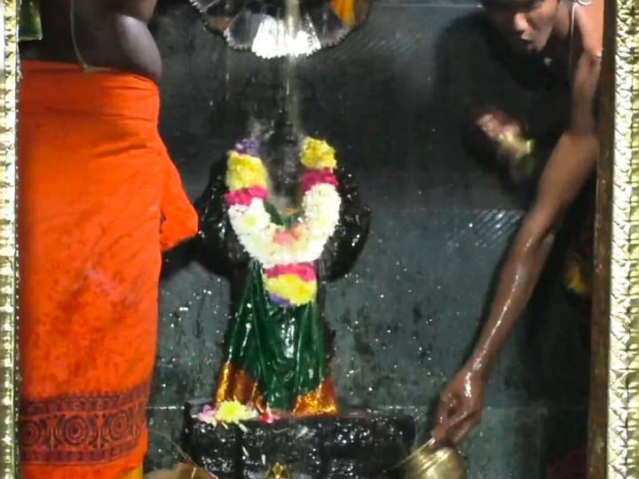 ஸ்ரீ காசி விசாலாட்சி உடனுறை காசி விஸ்வநாதர் ஆலயத்தில் மகா சிவராத்திரி