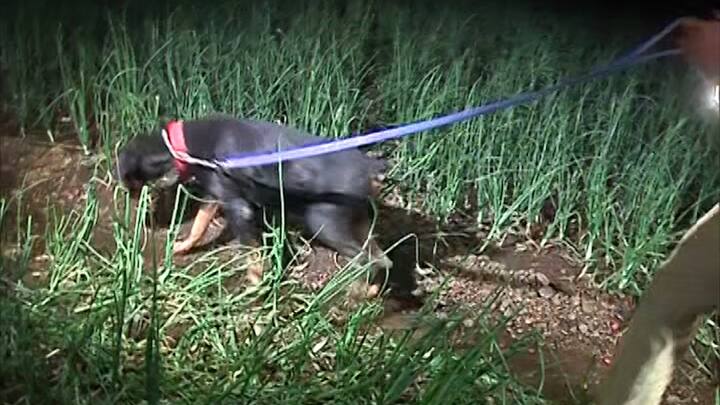 गेल्या दोन दिवसांपासून तो उसाच्या शेतात अन्न पाण्याशिवाय बसून होता. आरोपीला घेऊन पुणे पोलिसांचे पथक पहाटे पुण्यात दाखल झाले.