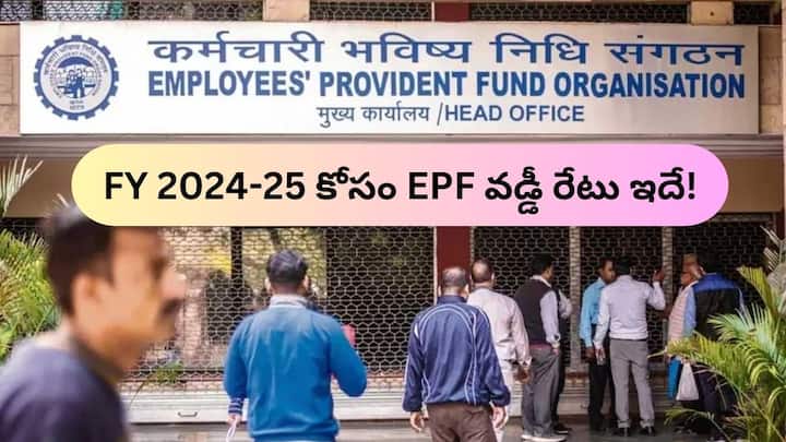 EPFO Key decision on EPF interest rate the interest rate will be paid on EPF for the financial year 2024-25 is EPF Interest Rate: 7 కోట్ల మందికి నిరాశ - 2024-25 ఆర్థిక సంవత్సరానికి EPF వడ్డీ రేటు ఎంతంటే?